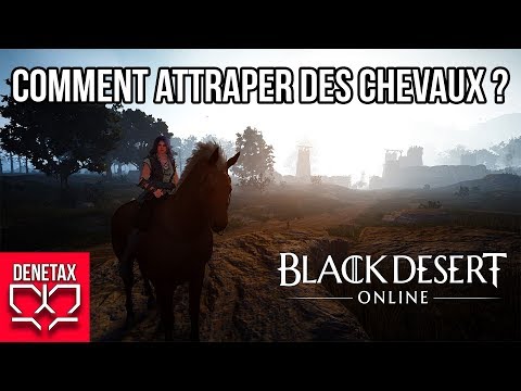 Attraper un cheval black desert online