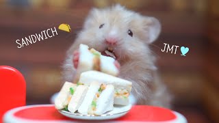 Tiny Sandwichmy Hamsters Favorite Food