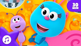 Danza Divertente Le Migliori Canzoni De I Piccoli Insetti Piccoli Insetti