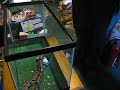 Where's the mouse?