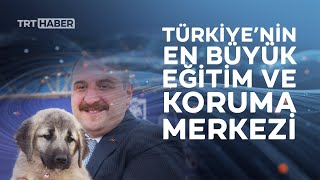 Sivas Kangalı Modern Yuvasına Kavuştu