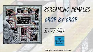Watch Screaming Females Drop By Drop video