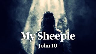 Lesson 12: My Sheeple