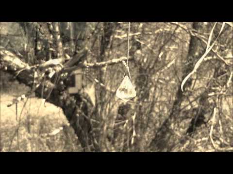 Sets Us Apart Video