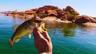 Dave Scadden's Backslash Bass Boat In A Bag!