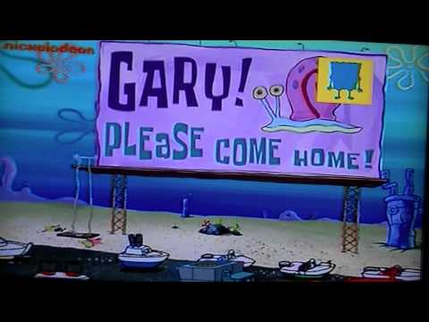 Der Gary Song Video