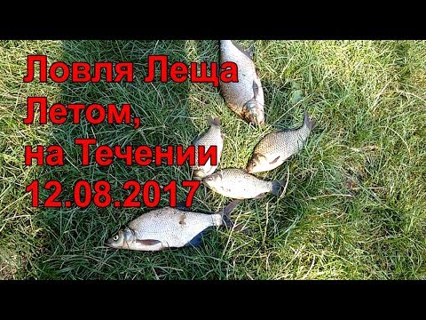 лещ на фидер в финском заливе лещ на фидер в финском заливе