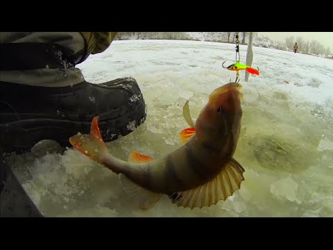 Рыбалка зимой от Михалыча. В поисках зимнего окуня