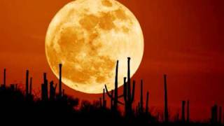 Watch Sun Kil Moon Gentle Moon video