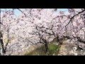ソン・ユリさん、キム・ミンジュンさんコメント付き予告編映像.wmv