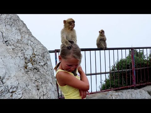 Hotel Playa Estepona Spain July 2017 ***Read This before Going***