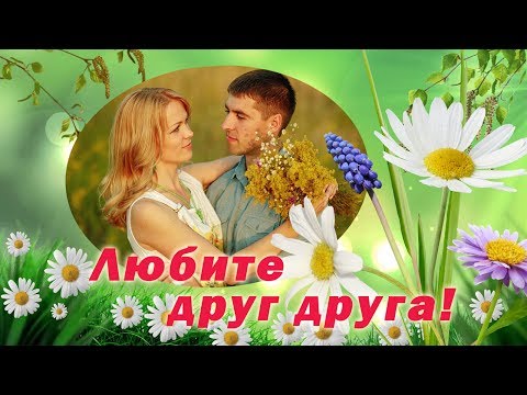 Александр с днем семьи Александр с днем семьи