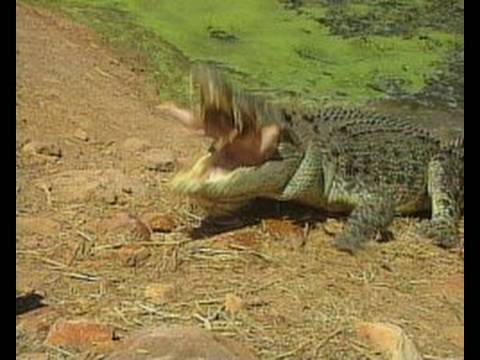 Animal X Classic Episode 2