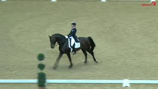 Ingrid Klimke et Franziskus CDI4* Dortmund 74,674 %