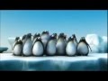porno salvaje con animales jajajaj