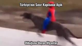 Türkiyenin Sınır Kapısı Açık Olduğunu Duyan Afganlar
