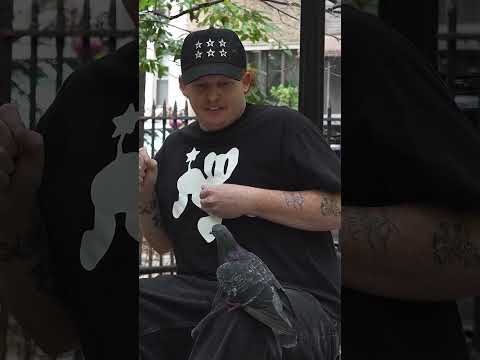 Jenkem Tries... Wheatpasting