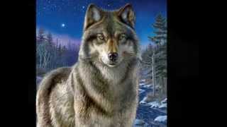 Anime wolves - Listen to your heart (Nightcore)