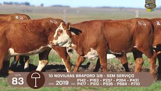 LOTE 83 | Remate Braford Estância do Sossego 2021
