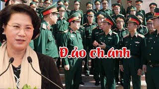 Tin vui cho dân Việt: Quân đội tuyên bố sẽ đảo chánh nếu QH bù nhìn bấm nút thông qua luật đặc khu
