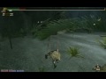MHF ラスタとプレミアムレイア変種（２人用）