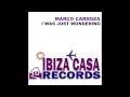 Marco Cardoza - i Was Just Wondering (Youtube Edit