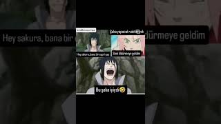 Sakurayi Sevmeyenler Yoruma