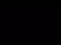 Learn To Trust Video preview