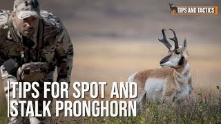 How To Bow Hunt Antelope