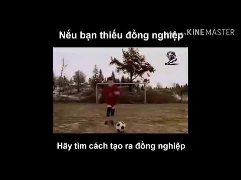 Funny clip | khi bạn muốn có người chơi cùng nhưng lại sở hữu IQ 200 | #4