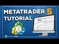 Complete MetaTrader 5 Tutorial [For Beginners] - 2023 Edition