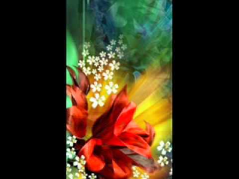 DIdia ho...wmv