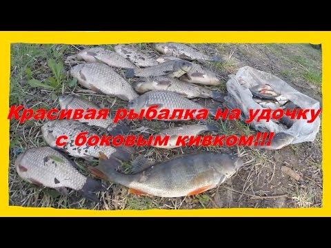весенняя рыбалка на карася на мормышку весенняя рыбалка на карася на мормышку