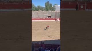 Quiebro Rodillas Julio Upegui Vaca Brava Plaza Toros Segovia #Shorts