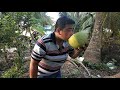 Tâm xe ôm | Đi đám cưới ở Kiên Giang
