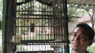 LDF Tamoi Penggong