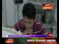 Paku Bukan Paku Pontianak images Paku Bukan Paku Pontianak