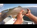 Yellowstone National Park Cutthroat Trout Fishing