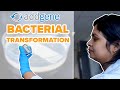 Bacterial Transformations