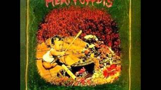 Watch Meat Puppets Melons Rising video