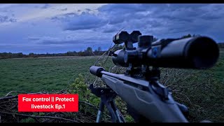 Fox Control Protect Livestock Ep.1