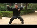 An Wushu - Baji Quan