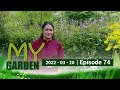 My Garden 20-03-2022