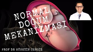 DOĞUM NASIL İLERLER 👶🏻   NORMAL VAJİNAL DOĞUM 🤱   (kemik yapı, çatı darlığı)🤰