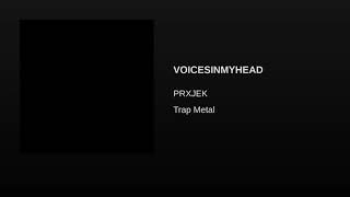 Watch Prxjek Voicesinmyhead video