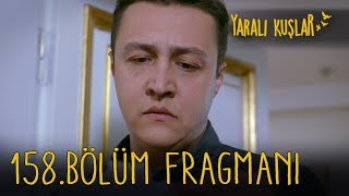 Yaralı Kuşlar 158. Bölüm Fragmanı