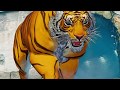 Street Fighter V Arcade Edition 🔴 Earning FM in Survival (Sagat) Completed on Extreme!