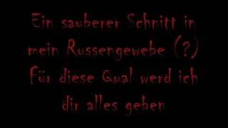 Watch Eisregen Nachtgeburt video