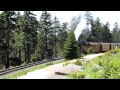 Harzer Schmalspurbahn (HSB)