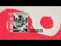 Ca$halto Video preview